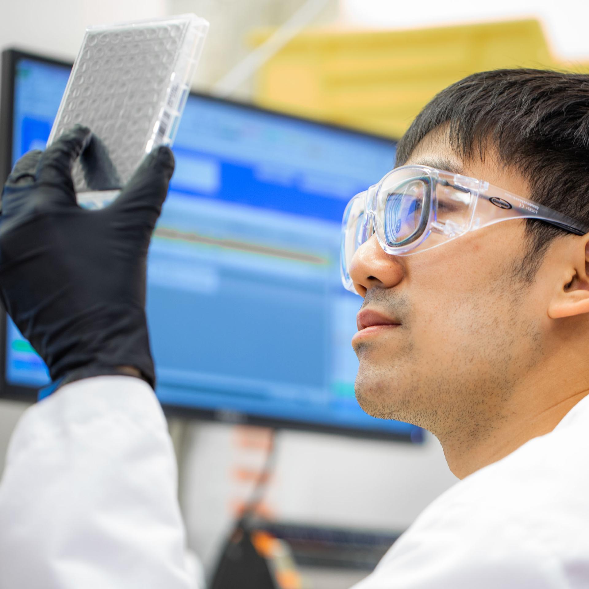 A scientist wearing goggles holding up a tray and examining it