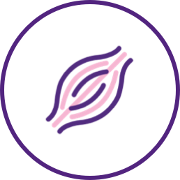 Duchenne muscular dystrophy icon in pink and purple