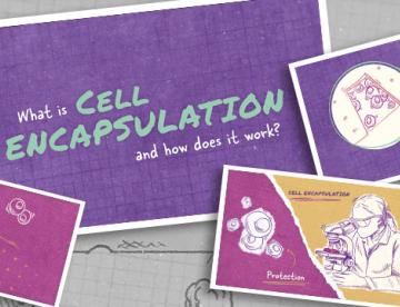 A graphic featuring various drawings of cells and with text reading "What is cell encapsulation and how does it work?"