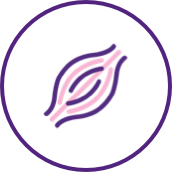 Duchenne muscular dystrophy (DMD) image