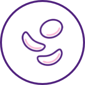 Sickle cell disease (SCD) image