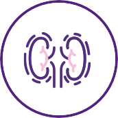 Primary membranous nephropathy (pMN) image