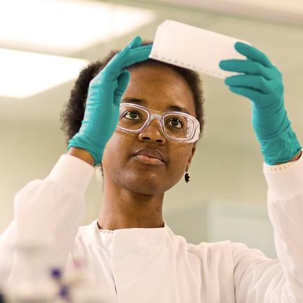 A scientist wearing goggles, a lab coat and gloves holds up a tray to examine