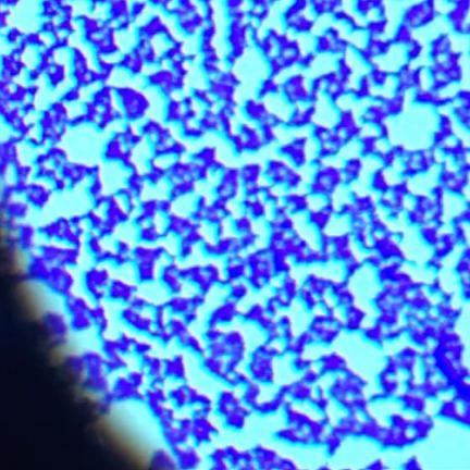 An image looking through the lens of a microscope