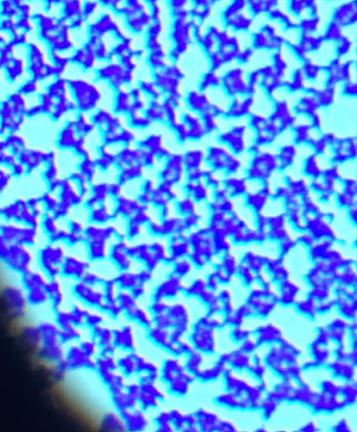 An image looking through the lens of a microscope