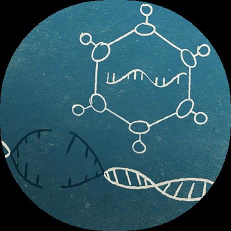 drawing of rna delivered to dna via vector