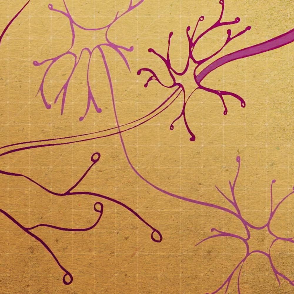 Illustration of pain signals in synapse