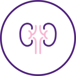 APOL1-mediated kidney disease icon