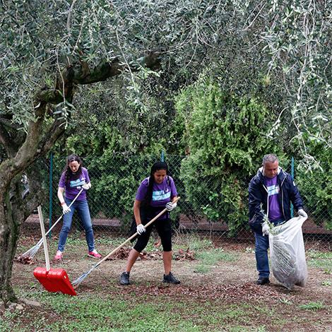 An image of three Vertexians volunteering their time by raking leaves outside during Week of Service event