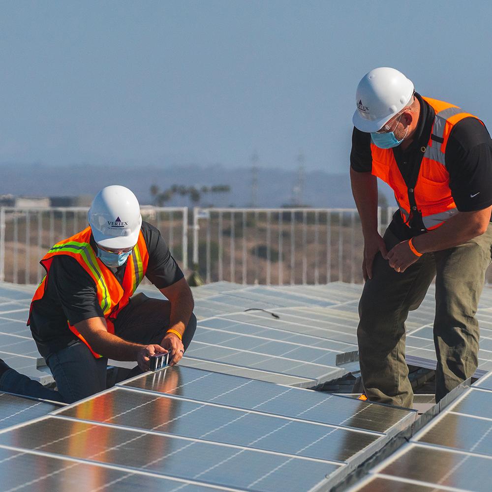 Two Vertex employees inspect solar panels
