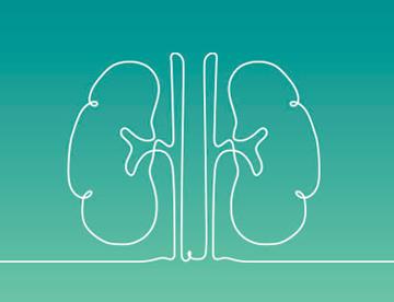 An icon of kidneys outlined on a blue-green background