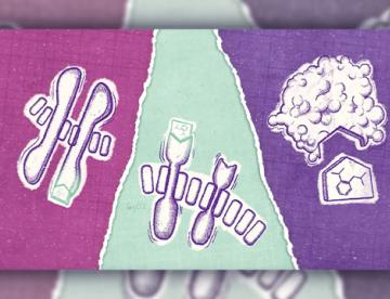 A drawing of various pieces of small molecules with a pink, green, and purple background
