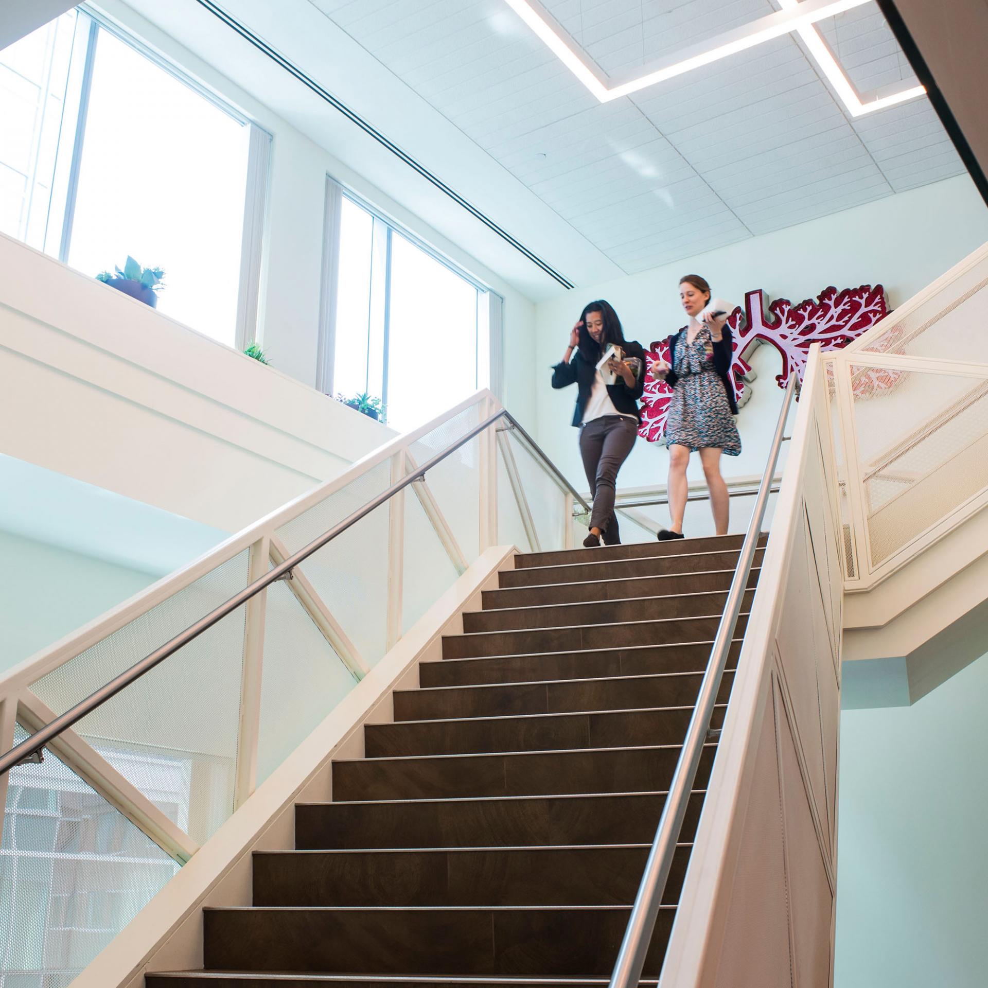 Employees walking down a staircase at Vertex Pharmaceuticals Boston headquarters