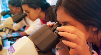 Several STEM students use microscopes in the Vertex Learning Lab
