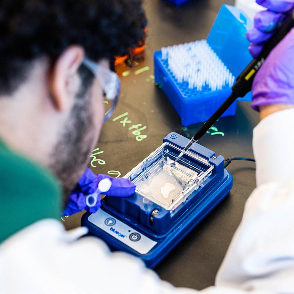 An image of a male high school student conducting an experiment in Vertex Pharmaceuticals' Boston Learning Lab. He is wearing a lab coat, safety glasses and gloves, and loading a gel into a gel electrophoresis rig.