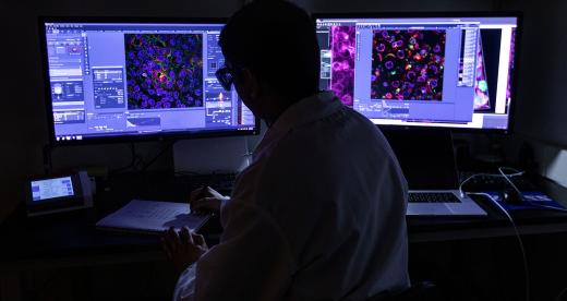 Scientist reviews cells on monitors